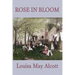 Rose in Bloom