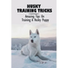 Husky Training Tricks: Amazing Tips On Training A Husky Puppy: Some Tips On Training A Husky