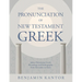 The Pronunciation of New Testament Greek: Judeo-Palestinian Greek Phonology and Orthography from Alexander to Islam
