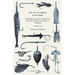 The Joy of Angling in Scotland - A Selection of Classic Articles on the Best Fishing Locations in Scotland (Angling Series)