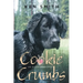 Cookie Crumbs: An Autobidography