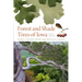 Forest and Shade Trees of Iowa