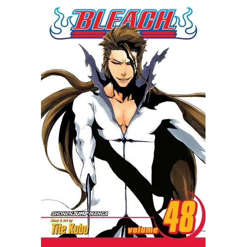 Bleach, Vol. 48: God Is Dead