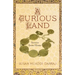 A Curious Land: Stories from Home