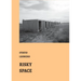 Risky Spaces: essays by Otávio Leonídeo