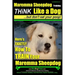 MAREMMA SHEEPDOG Maremma Sheepdog Training Think Like a Dog but Don't Eat Your Poop!: Here's EXACTLY How to TRAIN Your Meremma Sheepdog