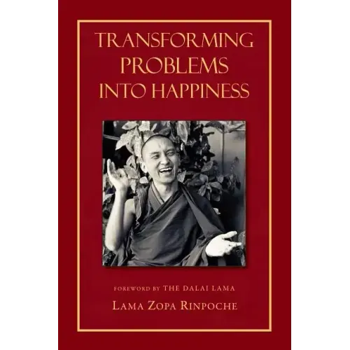 Transforming Problems Into Happiness