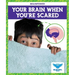 Your Brain When You're Scared