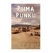 Puma Punku: The History of Tiwanaku's Spectacular Temple of the Sun