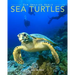 Sea Turtles: Amazing Pictures & Fun Facts on Animals in Nature