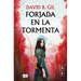 Forjada En La Tormenta / Forged in the Storm