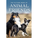 The Picture Book of Animal Friends: A Gift Book for Alzheimer's Patients and Seniors with Dementia