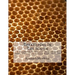 Beekeeping In The South: A Handbook on Seasons, Methods and Honey Flora of the Fifteen Southern States