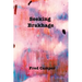 Seeking Brakhage
