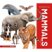 Essential Mammals