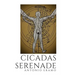Cicadas Serenade
