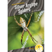 Silver Argiope Spiders