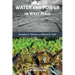 Water and Power in West Maui