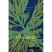 Objectivity