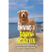 Owning A Golden Retriever: Things Every Owner Should Know, From Breeding To Feeding & Training: The Best Breeding Practices For Golden Retrievers