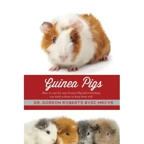 Guinea Pigs: How to care for your Guinea Pig and everything you need to know to keep them well