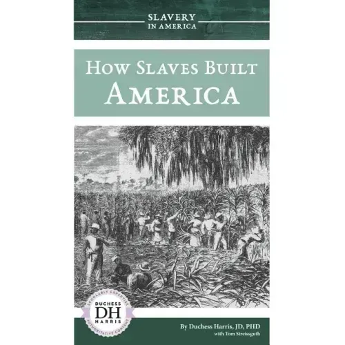 How Slaves Built America