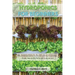 Hydroponics for Beginners: The Ultimate Guide To Start Growing Vegetables, Fruits And Herbs At Home Without Soil