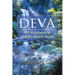 Deva: Our Relationship with the Subtle World