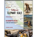 California Elephant Seals