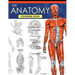 The Anatomy Coloring Book: A Complete Study Guide (9th Edition)
