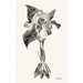 wild irises