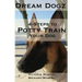 4 Steps to Potty Train Your Dog