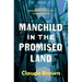 Manchild in the Promised Land