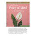 How to Have Peace of Mind in Troubled Times Study Guide