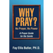 Why Pray? No Prayer, No Power: A Prayer Guide for the Saints
