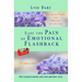 Ease the Pain of Emotional Flashback Self-healing Process after Narcissistic Emotional Abuse: How to reduce the strength of the triggers How to regain
