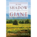 In the Shadow of a Giant