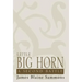 Little Big Horn: A Second Battle