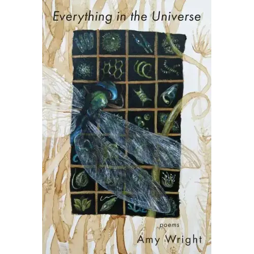 Everything in the Universe
