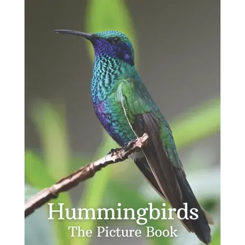 Hummingbirds: The Picture Book of Hummingbirds Great Gift for Parkinson's Alzheimer's & Seniors with Dementia.