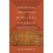 Exegetical Gems from Biblical Hebrew: A Refreshing Guide to Grammar and Interpretation