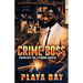 Crime Boss 2