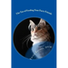 The Tao of Feeding Your Furry Friends: A holistic veterinarian's view on feeding your pets for vibrant health
