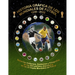 Historia Gráfica de Los Mundiales de Fútbol 1930-2022: Todos los Uniformes, Emblemas y Fotografías