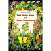 The Frog King or Iron Heinrich