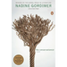 The Conservationist: Booker Prize Winner (A Novel)