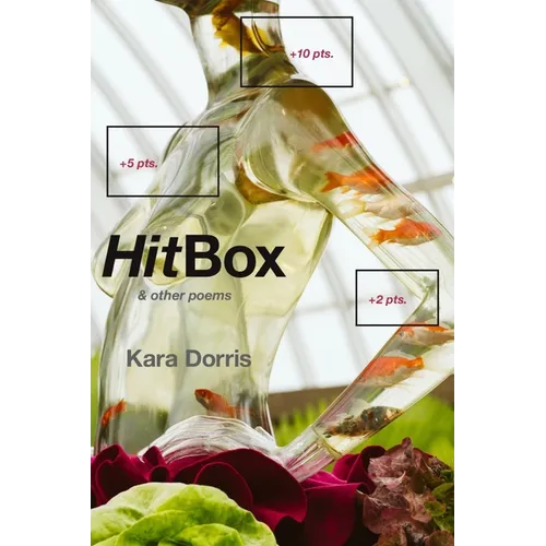 HitBox