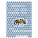 Anatomy of the Honey Bee