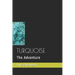 Turquoise: The Adventure