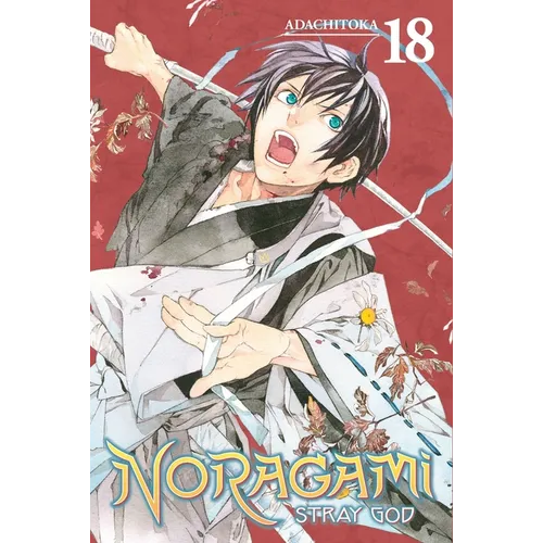 Noragami: Stray God 18